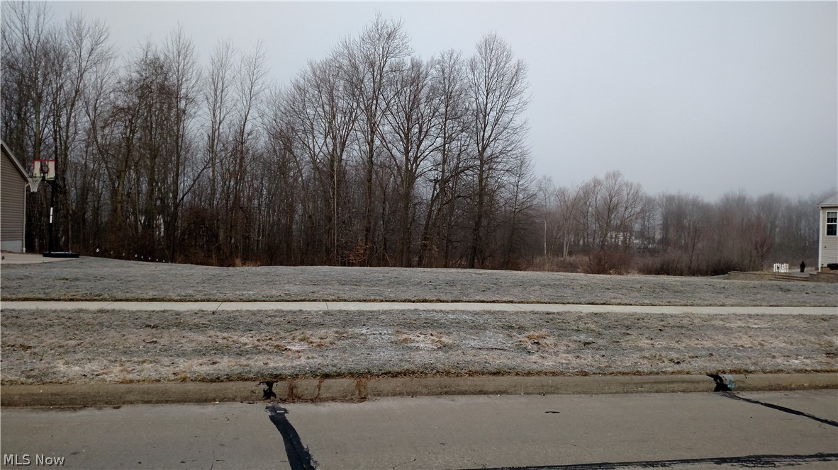 Bayberry Estate - Land