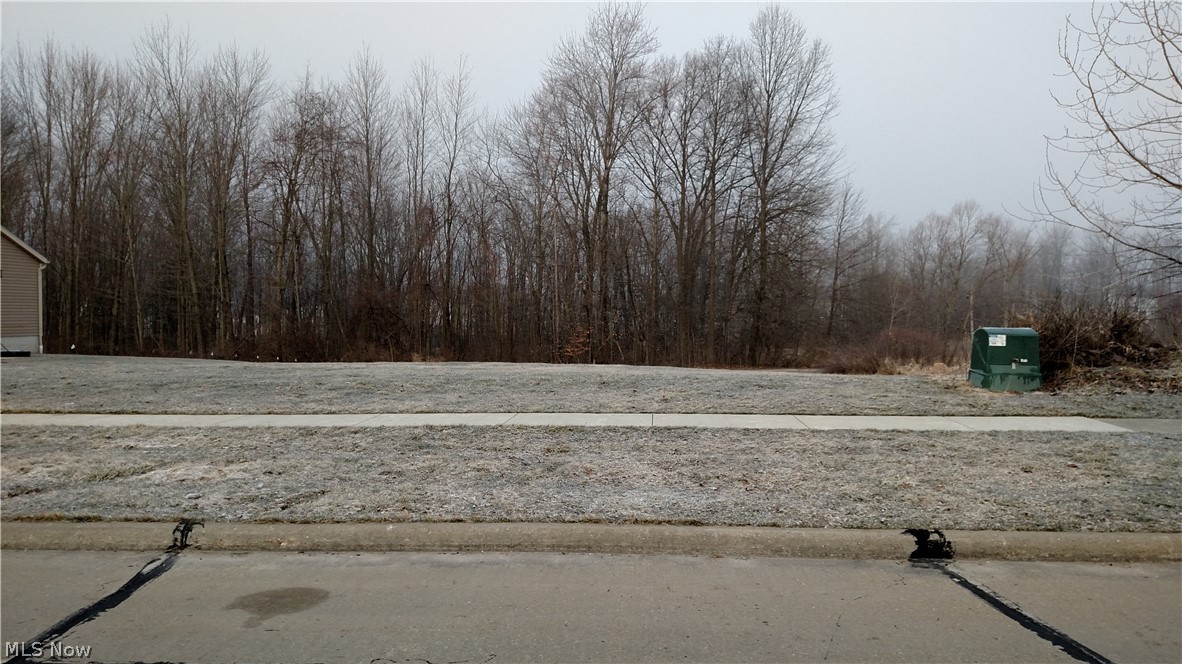 Bayberry Estate - Land