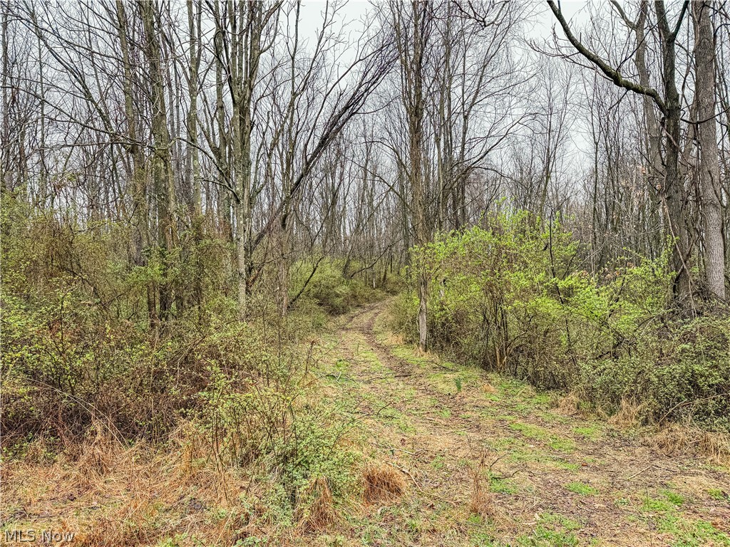 Buck Hill Road