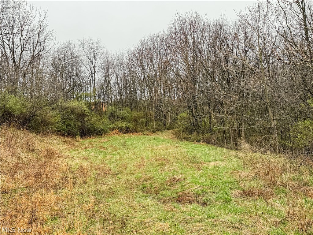 Buck Hill Road