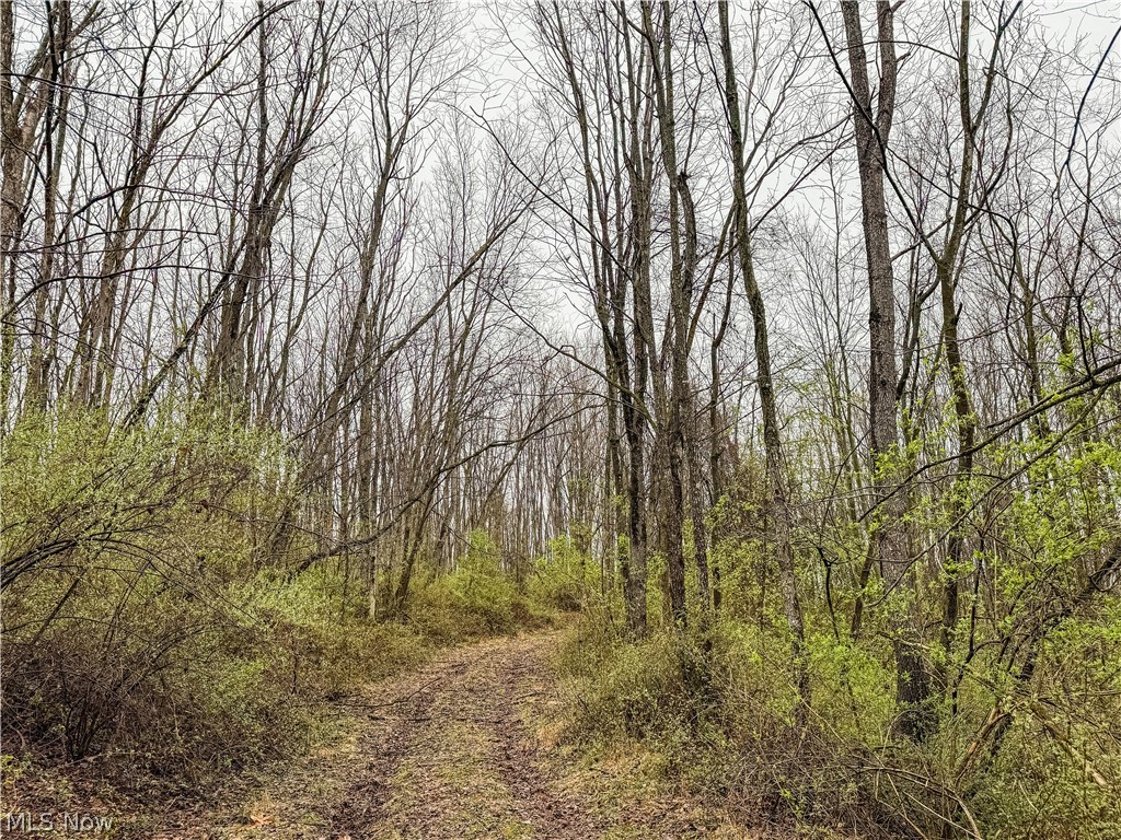 Buck Hill Road