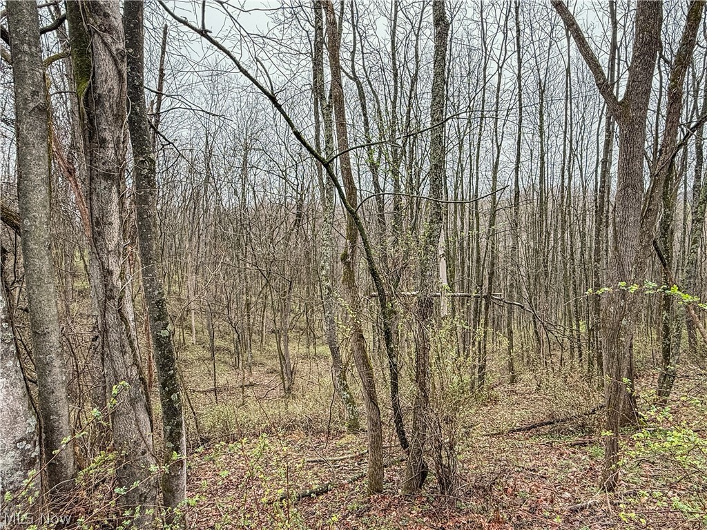 Buck Hill Road
