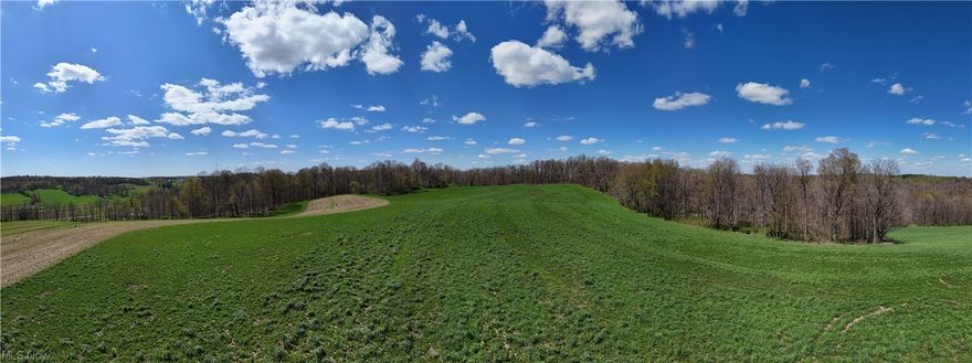 Auction Day is Saturday, June 1st, 2024. Real Estate Sell at 12:00 PM. Parcel 4: 28.42 Acres. Open and Wooded. Great views. Access via 50’ Shared Easement. The acreage is a mix of open pasture, tillable land, and wooded areas with trails and two spring-fed ponds. The hilltop parcels over exceptional views and seclusion