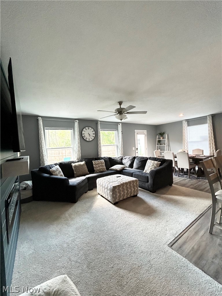 Sunnyside Beach - Residential