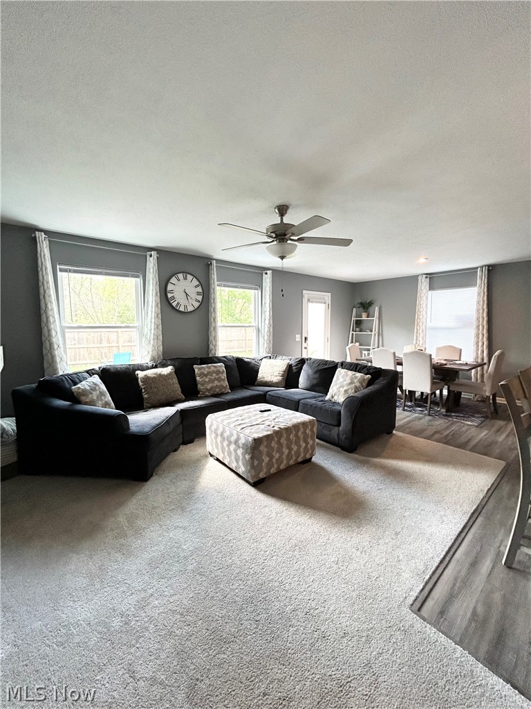 Sunnyside Beach - Residential