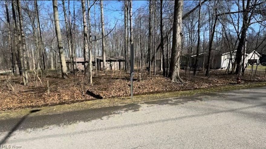 Build your permanent or vacation home on this picturesque lot.   Great location, close to the strip, bars, restaurants, Lake Erie and Geneva Twp Park.