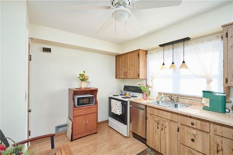 Tiny photo for 507 E Ford Avenue, Barberton, OH 44203 (MLS # 5187789)