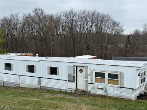 Homes For Sale - 201 Pear Street #9<br/> Bethesda, OH 43719