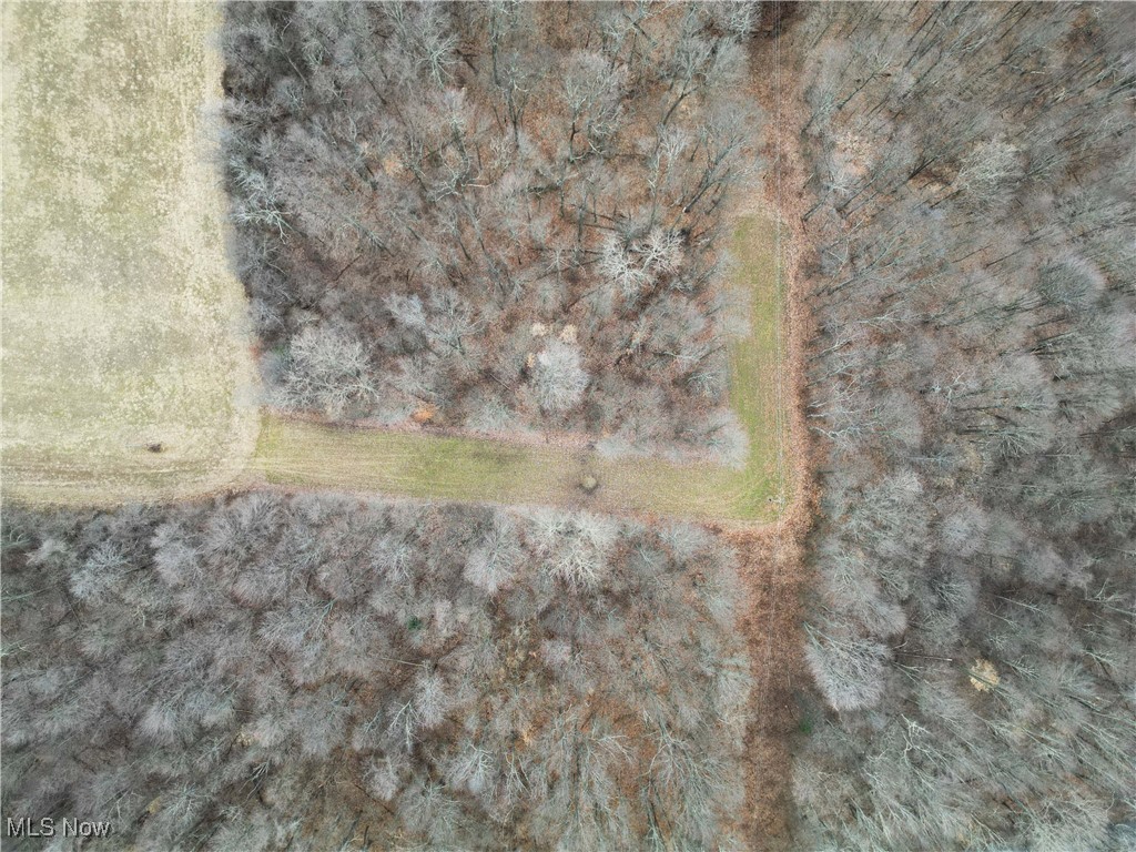 4960 Rider Road, Roseville, Ohio image 49