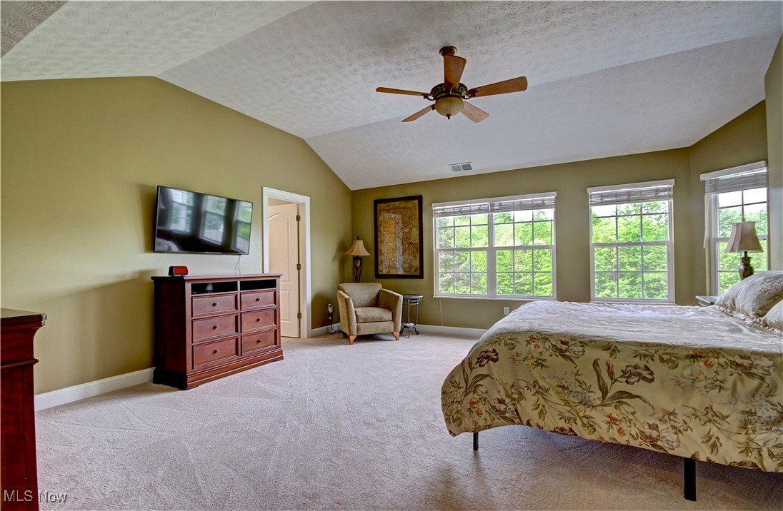 31919 Fieldstone Circle, Avon Lake, Ohio image 27