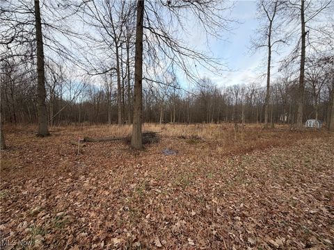 Vacant Land For Sale - W Nevada Avenue<br/> Mahoning County, Sebring, OH 44672