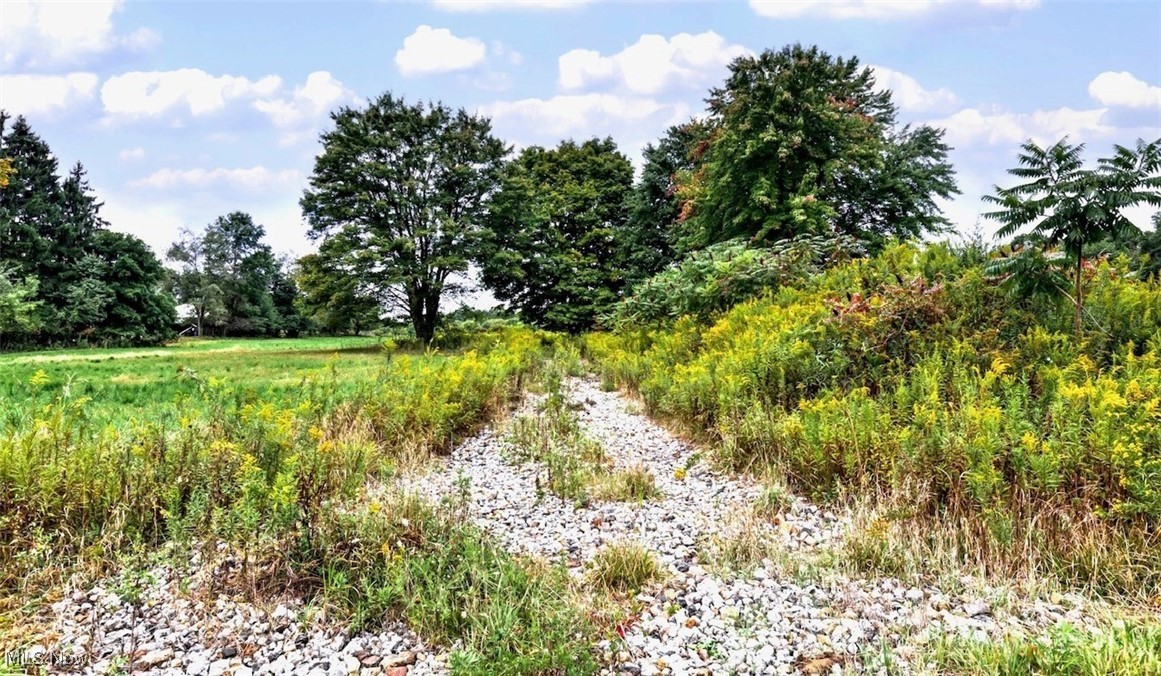 Hubbard Thomas Road, Brookfield, Ohio image 8