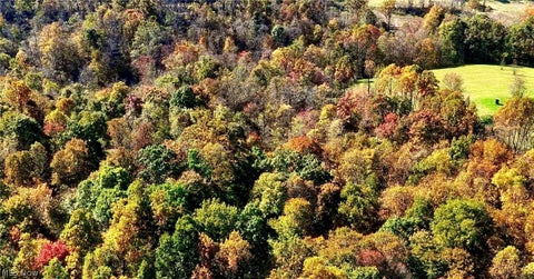 Tiny photo for 48251 Sykes Ridge Road, Clarington, OH 43915 (MLS # 5255838)
