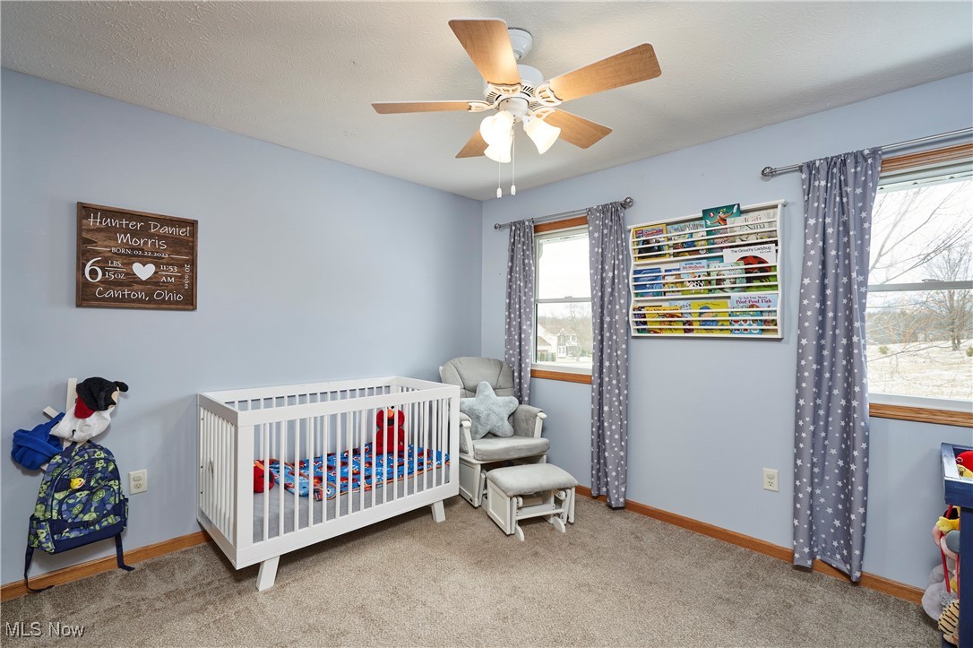 10274 Laurens Drive, Bolivar, Ohio image 18