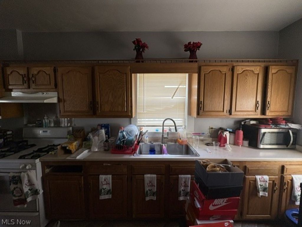 Photo of 1743 Silliman Street, Youngstown, OH 44509 (MLS # 5211388)