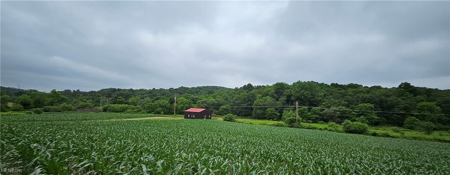 This 52+ acre property is the perfect blend of seclusion and adventure nestled in the rural area of Coshocton County, surrounded by over 19,000 acres of the popular Woodbury Wildlife area with a large shooting range located 2.5 miles away. This land features a mix of woodland and tillable farmland, currently planted with corn. Whether you’re planning weekend getaways, a hunting retreat or year-round living, the cabin provides a relaxed base to enjoy everything the natural surroundings have to offer.
At the center of it all sits a newly renovated 3-bedroom fully furnished cabin, offering the opportunity to start enjoying this remarkable property immediately. Minerals are intact and will transfer with the property. 
The cabin was renovated last year with new plumbing, electricity, a newly drilled well, water softener, water heater, windows, siding and new mini split ac/heat system. Included furnishings include new kitchen appliances, dishes, a new stackable washer dryer, large screen TV, new recliners and 3 custom beds with brand new mattresses and pillows. 
Step outside and you'll quickly realize this isn’t just land—it’s an outdoor lover’s dream. Deer, turkey, and other wildlife are frequent visitors, and the mature trees provide just the right amount of cover right outside your door. Just across the creek via the newly constructed bridge, there are trails throughout and a hunting blind in a prime location that stays with the property as well.
Although the feel of true peace and quiet is present, it is located within driving distance to local amenities. The quaint town of Warsaw is only 5 miles away, while Coshocton is only 7 miles. This property offers privacy without sacrificing convenience. 

Whether you’re looking to build, play, or simply unplug, this unique opportunity invites you to make the most of life off the beaten path.