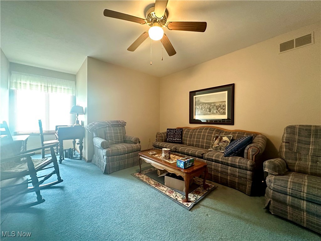 1139 Shadow Ridge Drive, Niles, Ohio image 32