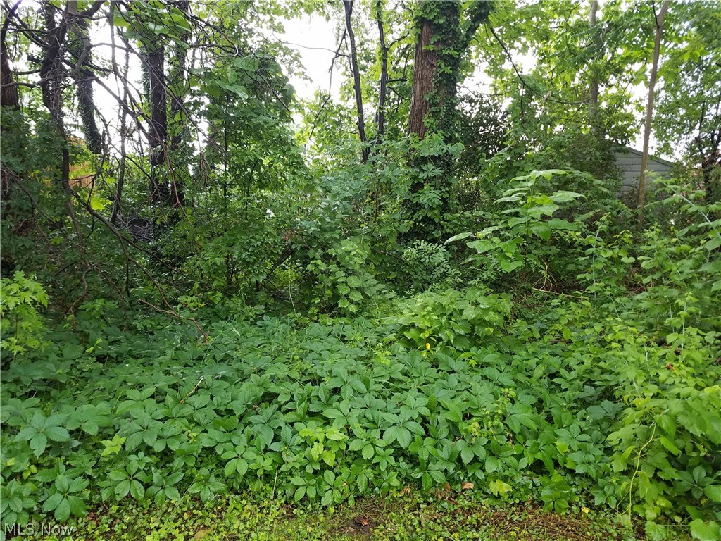 North Side Park - Residential