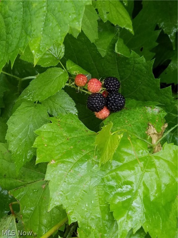 North Side Park - Residential