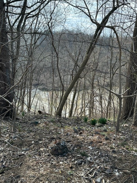 West/Black River - Residential