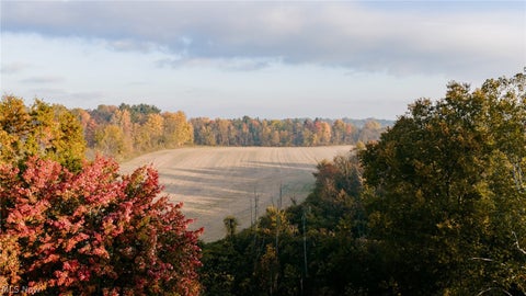 Tiny photo for 7261 Wolff Road, Medina, OH 44256 (MLS # 5257093)