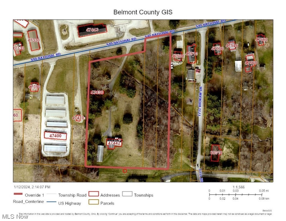 Main image without alt text