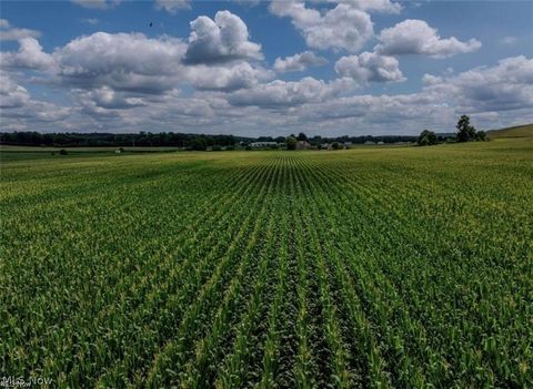 Tiny photo for Erie Avenue, Beach City, OH 44608 (MLS # 5190173)