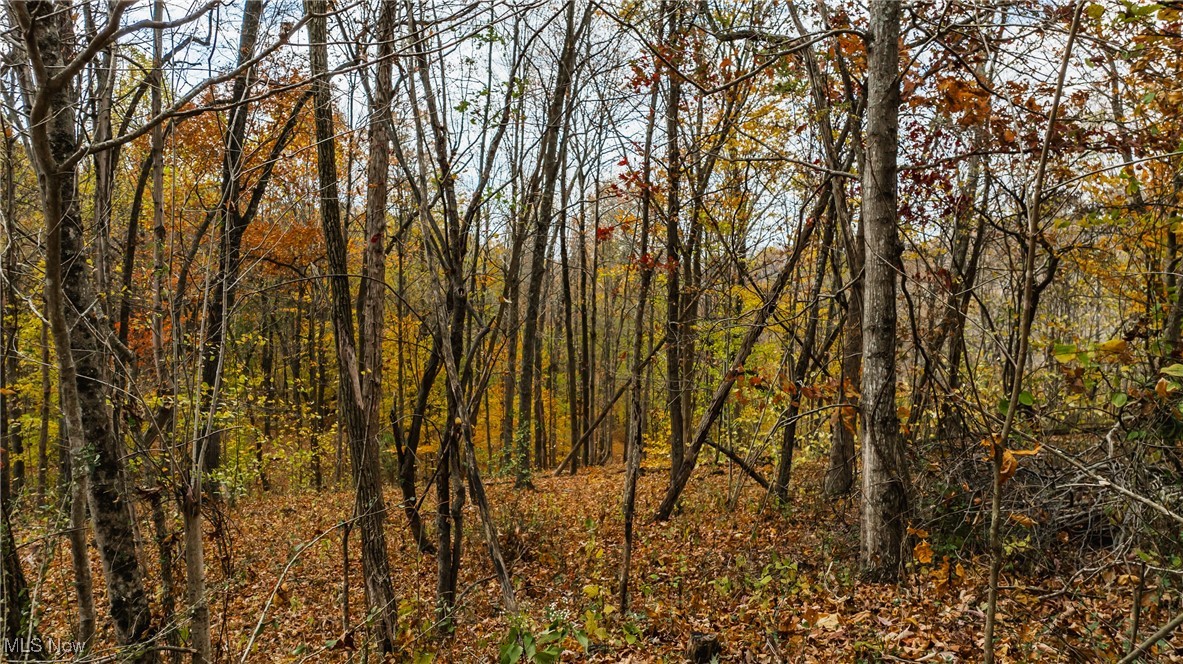 Chestnut Run Road, Elizabeth, West Virginia image 6