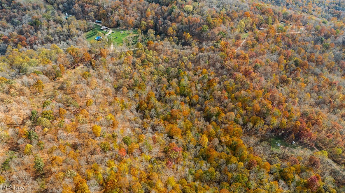 Chestnut Run Road, Elizabeth, West Virginia image 8