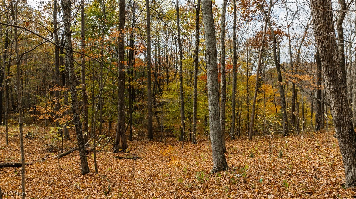 Chestnut Run Road, Elizabeth, West Virginia image 4