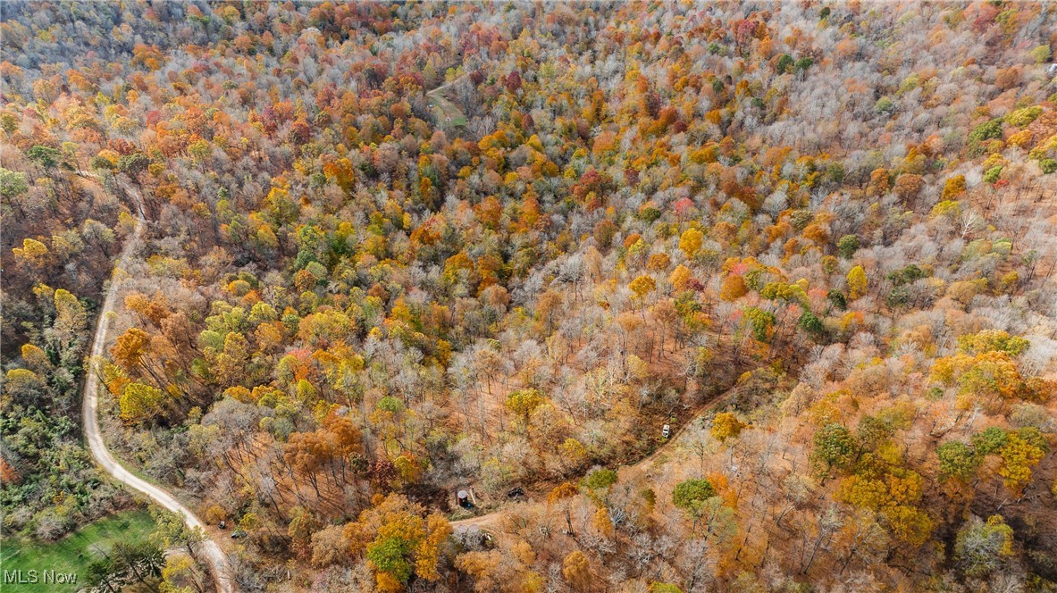 Chestnut Run Road, Elizabeth, West Virginia image 2