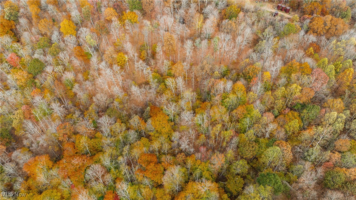 Chestnut Run Road, Elizabeth, West Virginia image 1