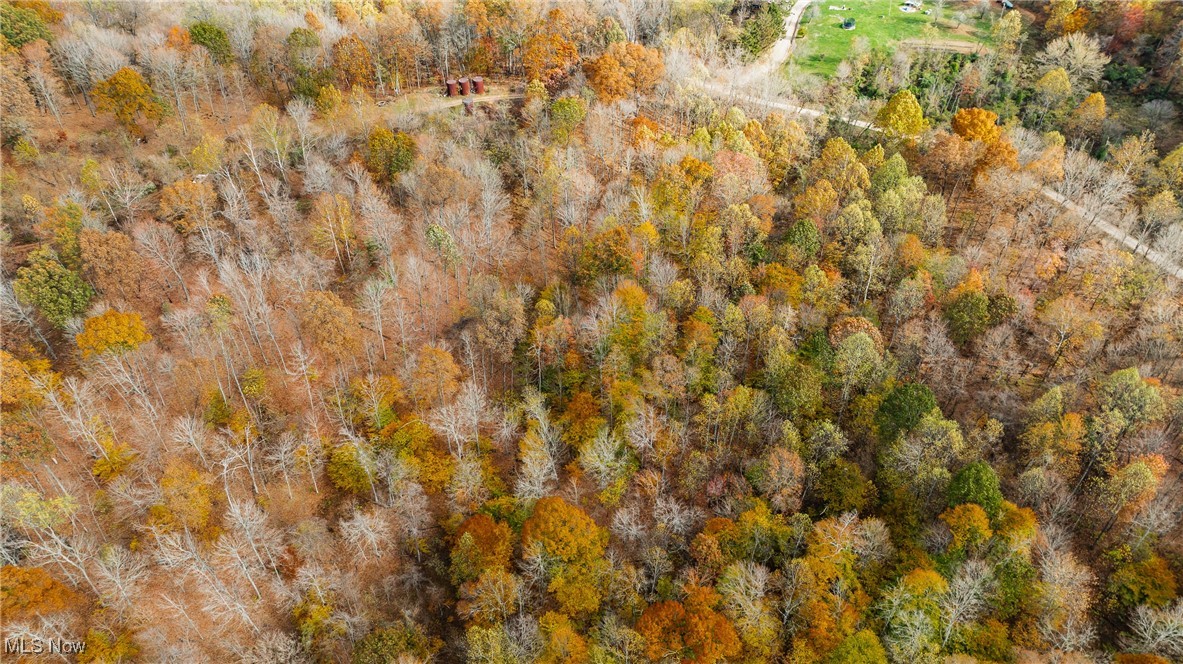 Chestnut Run Road, Elizabeth, West Virginia image 7