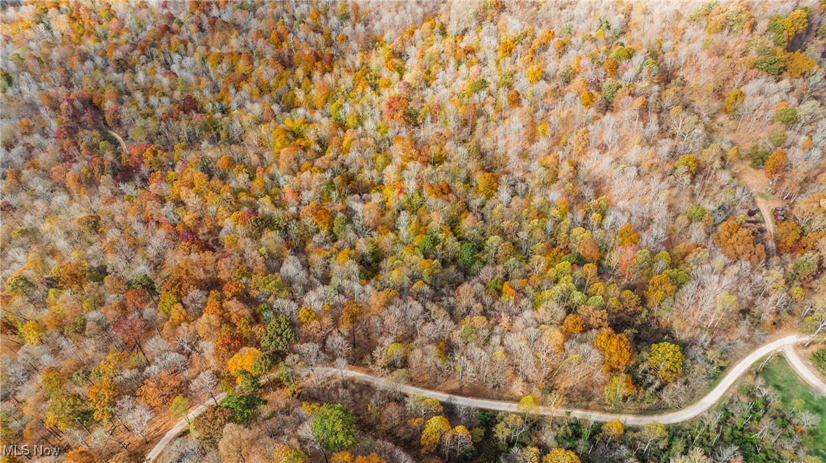 Chestnut Run Road, Elizabeth, West Virginia image 11