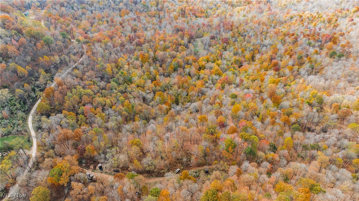 Chestnut Run Road, Elizabeth, West Virginia image 10