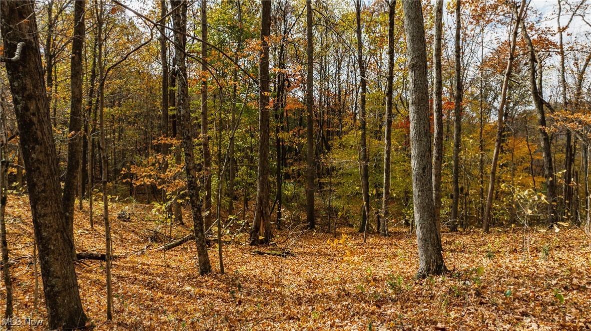 Chestnut Run Road, Elizabeth, West Virginia image 3