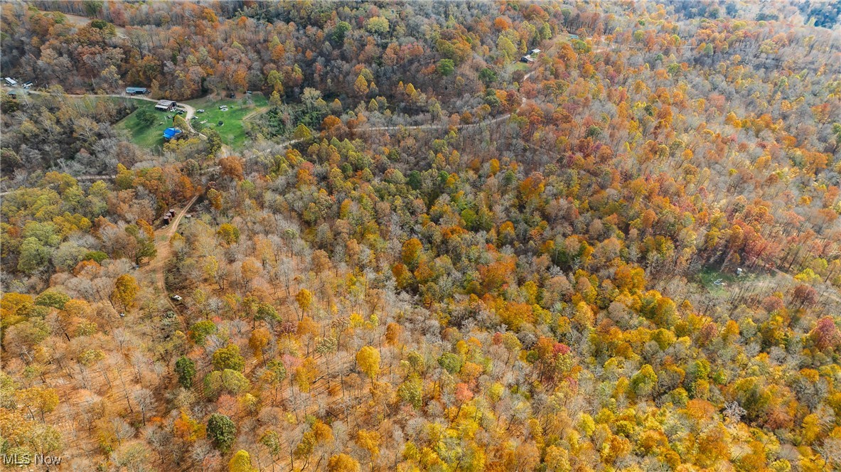 Chestnut Run Road, Elizabeth, West Virginia image 9