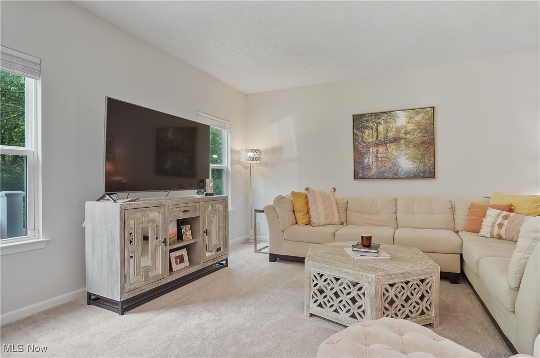 Towns/Cedar Crest - Residential