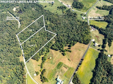 Vacant Land For Sale - PARCEL 2 Shinn Road<br/> Stockport, OH 45724