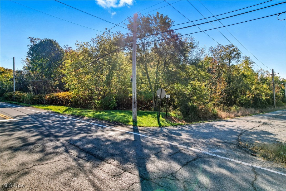 Struthers, Ohio 44471, United States, ,Land,Active,3102