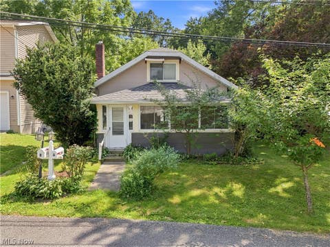 Homes For Sale - 206 Olivet Avenue<br/> Akron, OH 44319