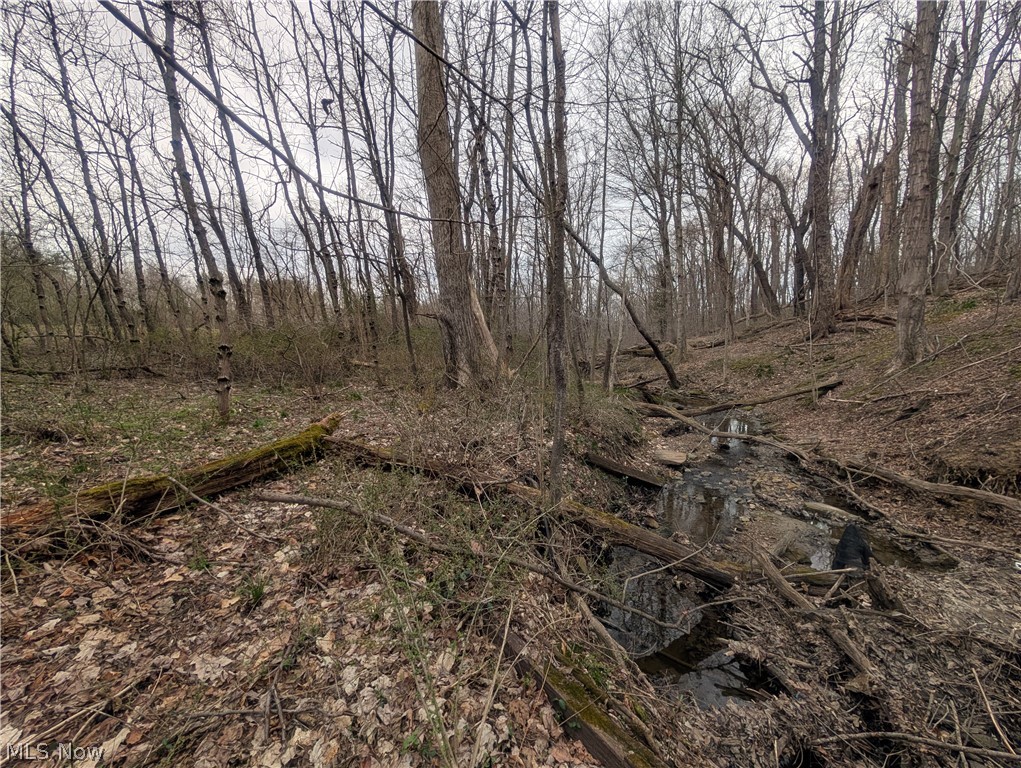 Village/Somerset - Land