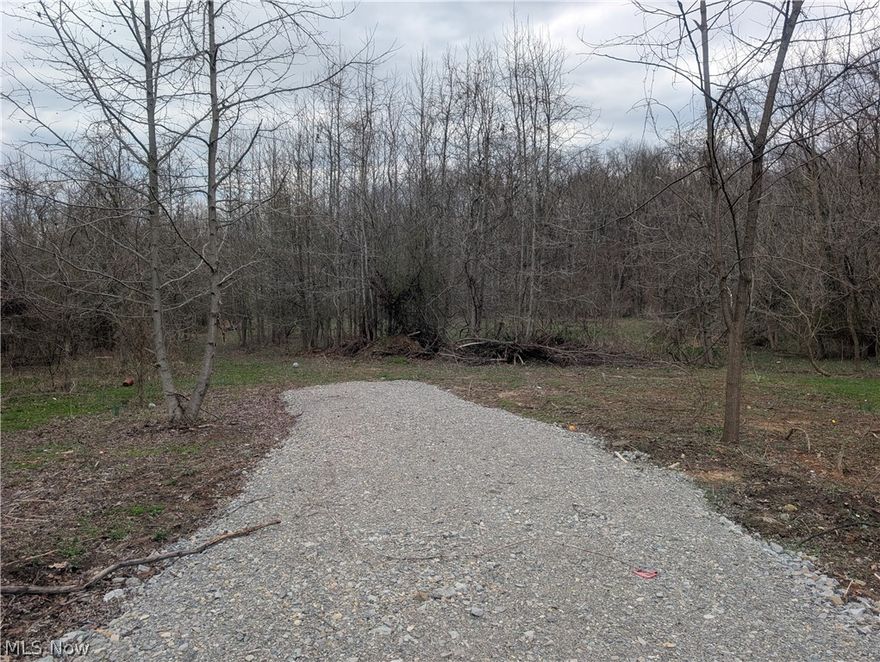Located in Somerset, secluded within Village Limits is a rare opportunity to own a prospective building lot. A drive has recently been installed with access down an alley off of N Columbus Street. More acreage available. Utilities onsite. Buyer to perform due diligence on permitted building uses with the Village of Somerset.