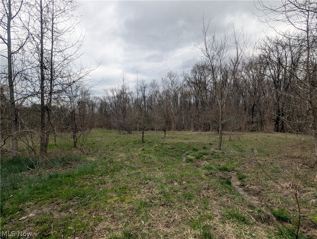 Village/Somerset - Land