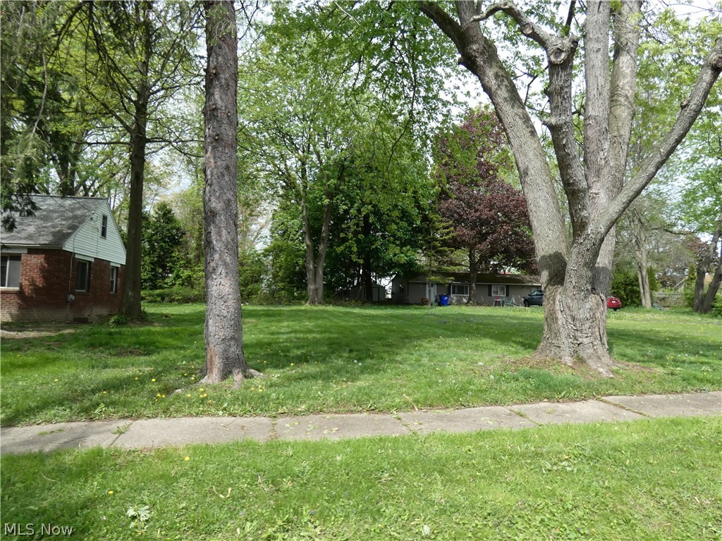 Rare opportunity in Kent City to build on this affordable and centrally located lot within blocks of KSU and downtown Kent! Build your dream home or an investment property. Two larger trees stand at the front of the property, otherwise clear and flat. Land in Kent is scarce - don't miss this opportunity!