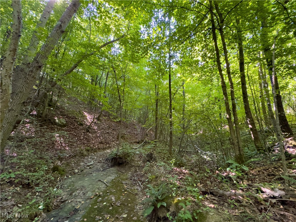 1116 Number 12 Hollow Road, Wellston, Ohio image 33