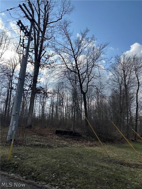 Vacant Land For Sale - 12651 Grant Road<br/> Howard, OH 43028