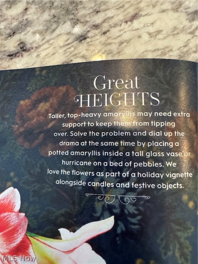 East Youngstown Land & Improve - Residential