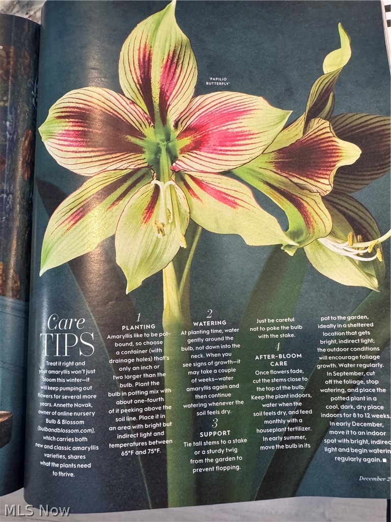 East Youngstown Land & Improve - Residential