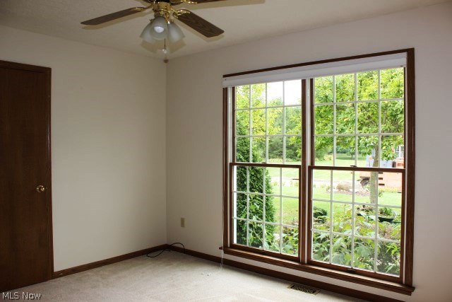 Mayfair Estates Ph IV - Residential